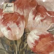 AMB.13309000 Tulips Dream papírszalvéta 33x33cm, 20db-os