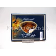 H.C.198-9306 Üveg teafiltertartó Van Gogh: Napraforgók, 1,5x10x14,5 cm 