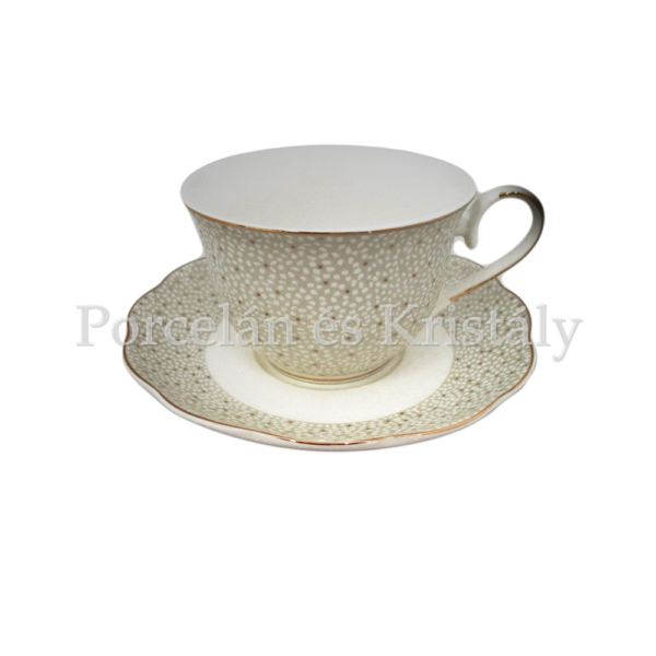 V.B.14856 Cambia Porcelán csésze szett 6 személyes, 12 részes, díszdobozban